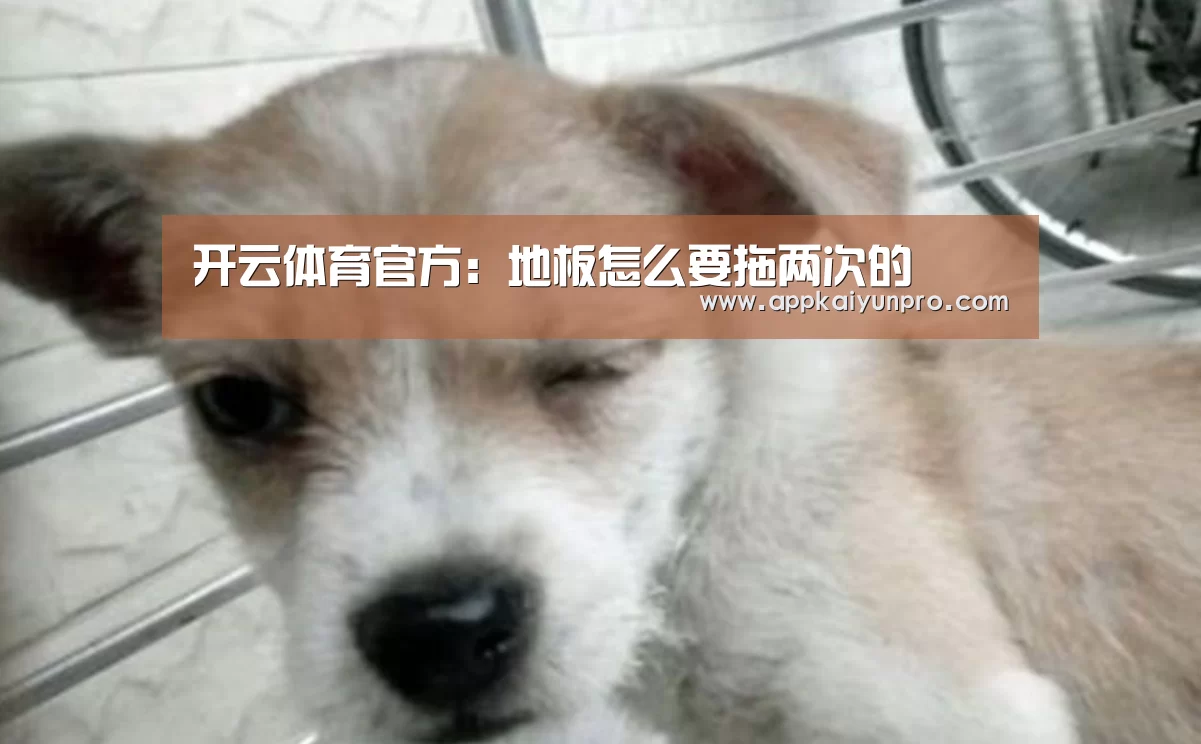 开云体育官方