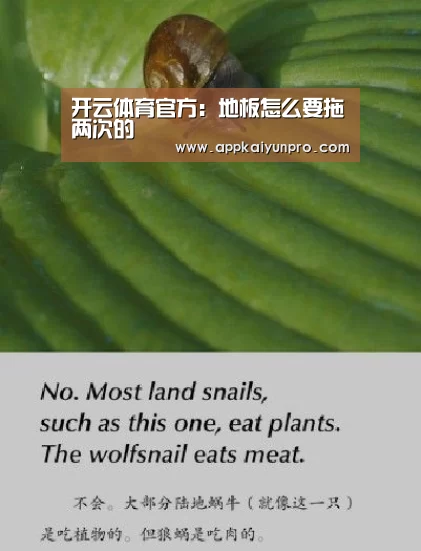 开云体育数据中心