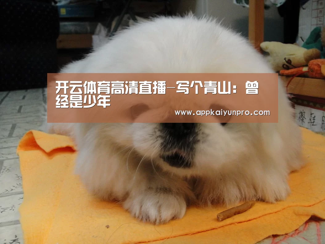 开云体育高清直播