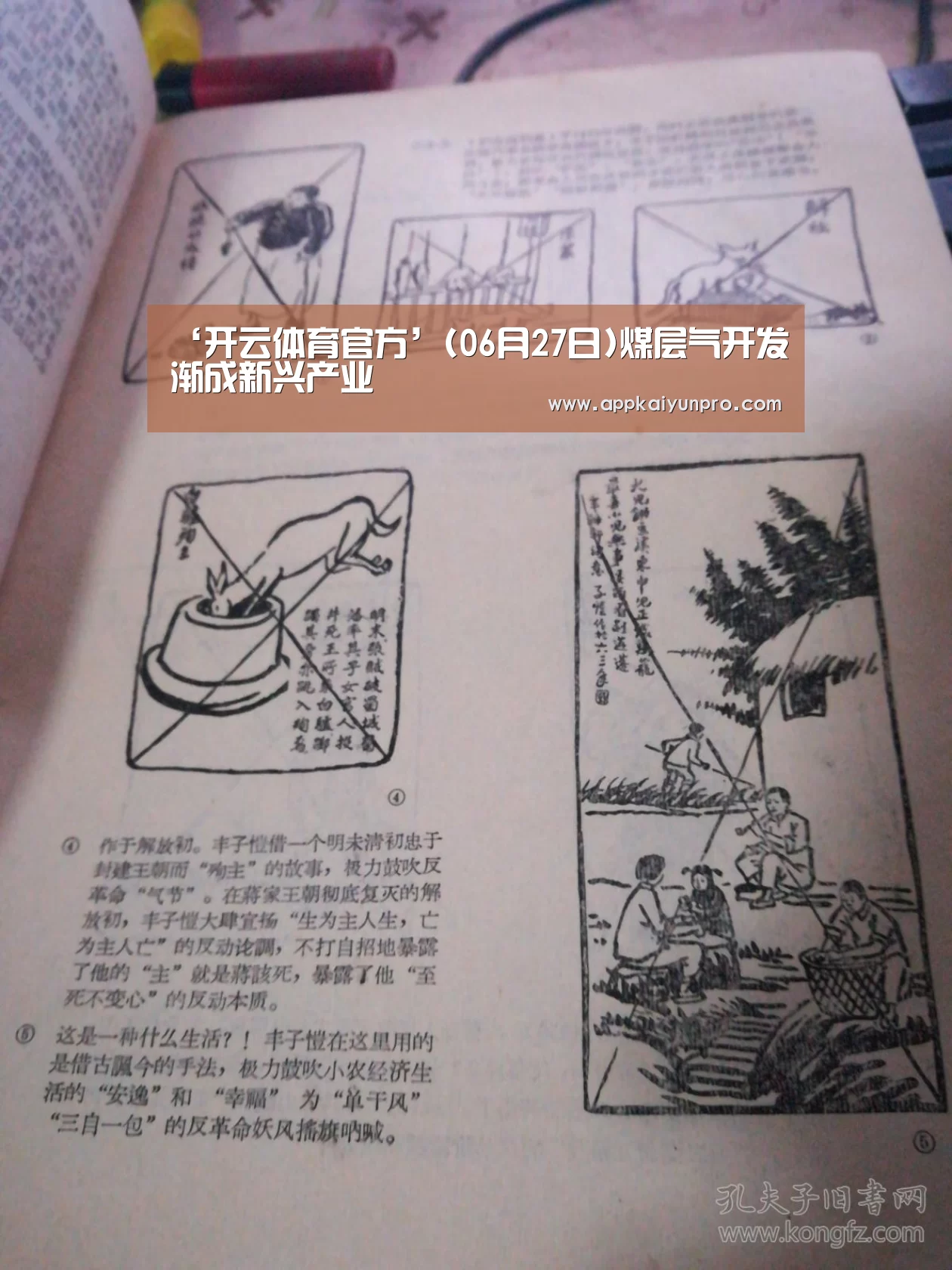 开云体育官网