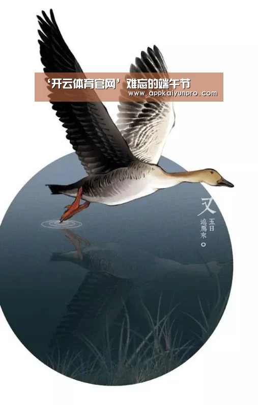 开云登录