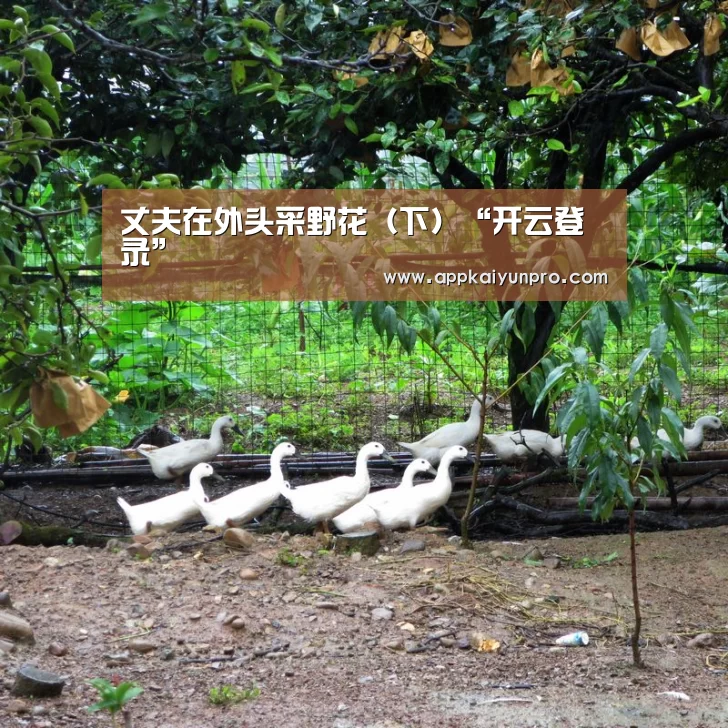 开云体育官方
