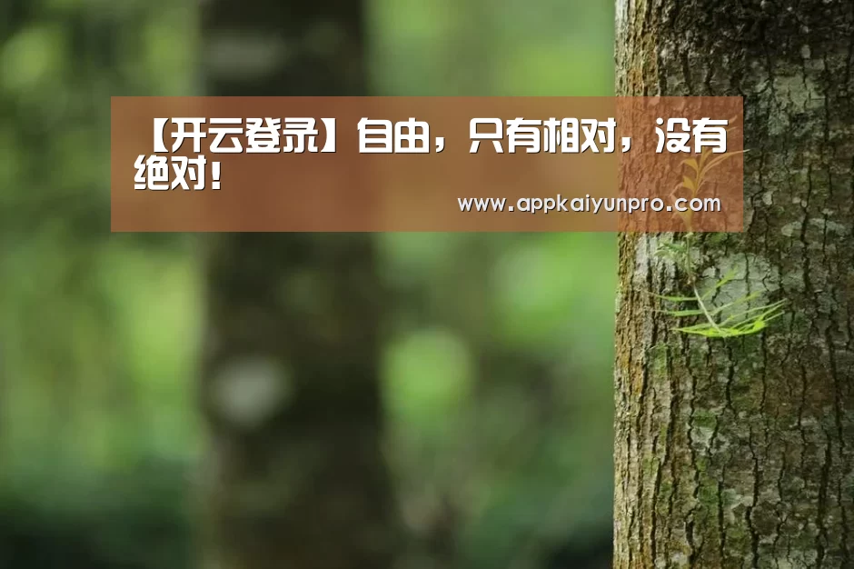 开云体育高清直播