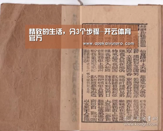 开云体育官方