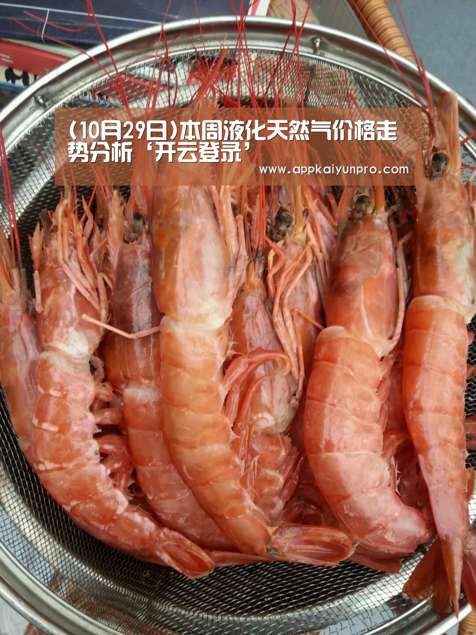 开云体育高清直播