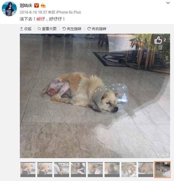 开云体育数据中心